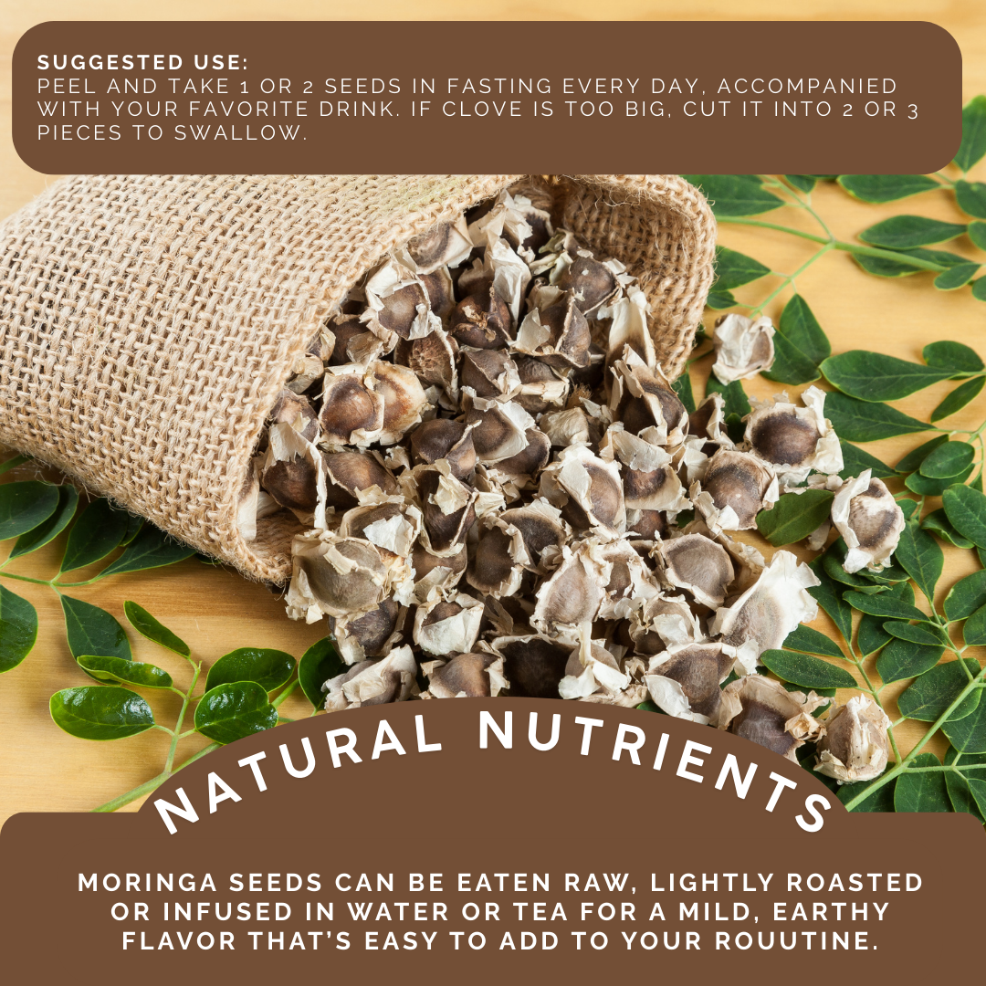Green Royalty- Moringa Seeds /Moringa Semilla 4Oz.