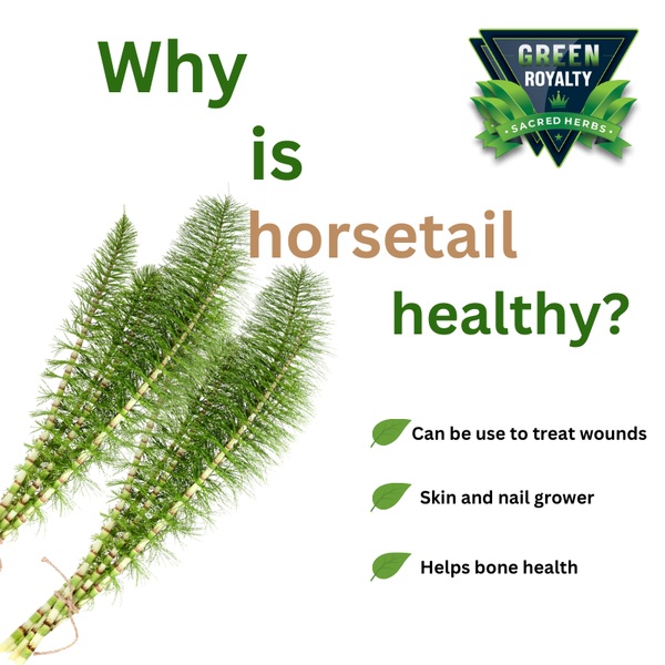 Green Royalty- Cola de Caballo(4oz)/ Horsetail Herb