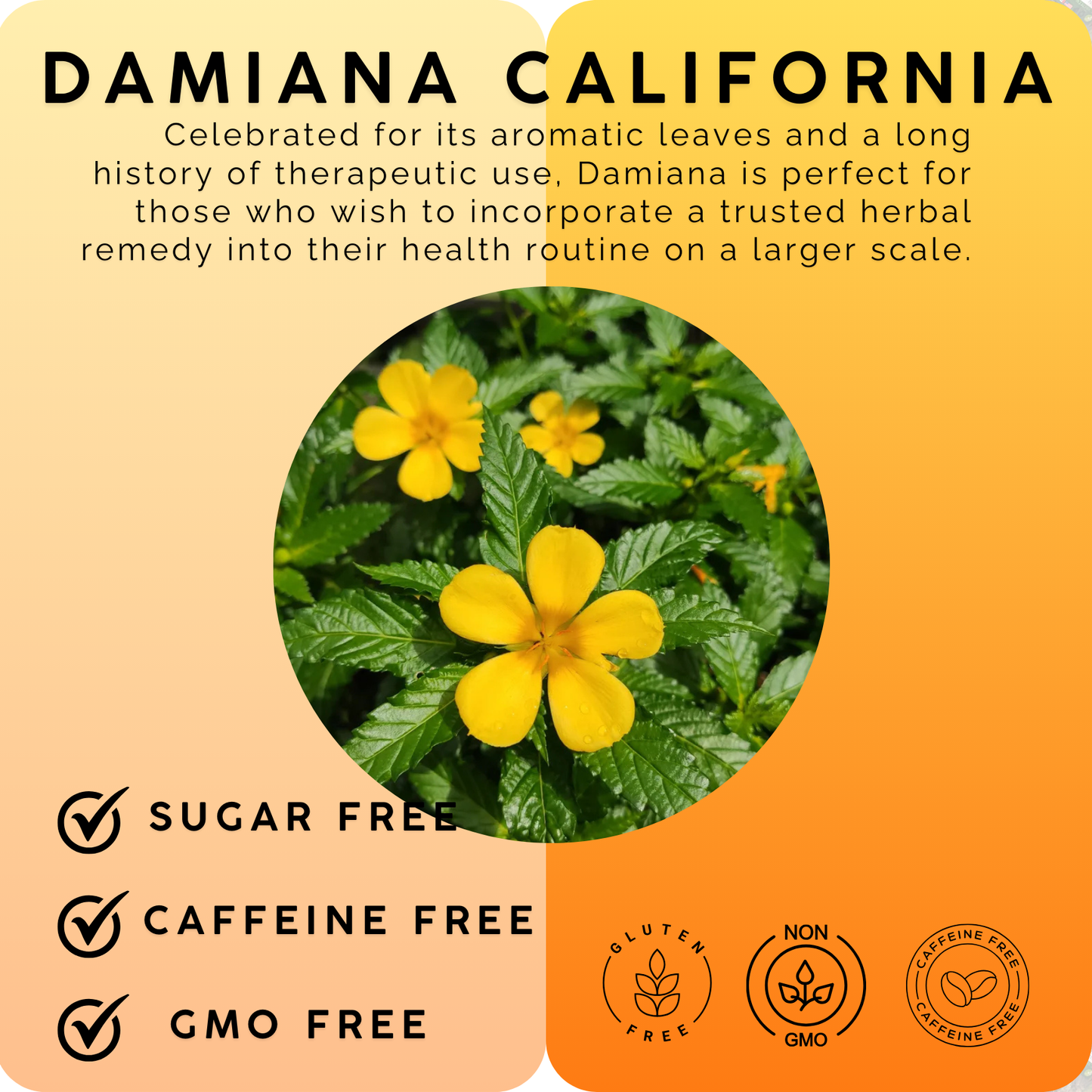 Green Royalty- Damiana Plastic Bag 4oz-Natural Infusions- Loose Herbal Tea