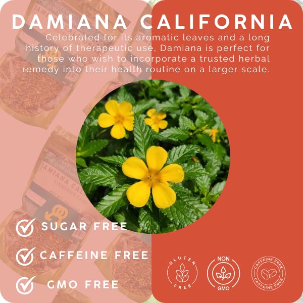 Green Royalty- Damiana Plastic Bag 4oz-Natural Infusions- Loose Herbal Tea