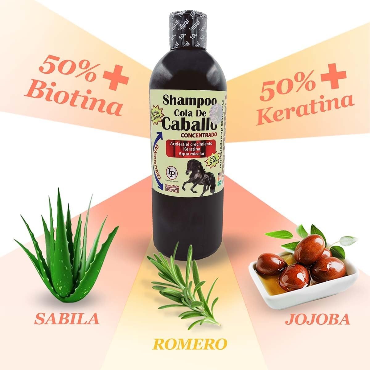 Shampoo Caballada sin sal (950ml) Acelera el crecimiento de tu cabello!