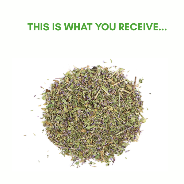 Green Royalty- Poleo(4oz)/Pennyroyal Herb